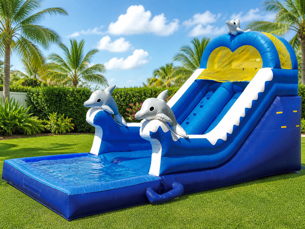 16 FT Dolphin Wet & Dry Slide.
