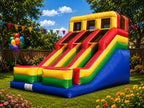 18FT 2 Lane Slide