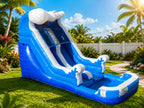 Light-Commercial Water Slide